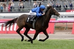 Francis Of Assisi Gaps His Rivals In Queen Elizabeth Stakes