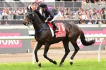 Tommy Berry eyeing off Melbourne Cup ride on Fiorente
