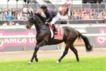 Melbourne Cup Favourite Recovering Well After Tough Cox Plate Run