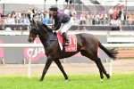 Fiorente To Resume In Memsie Stakes
