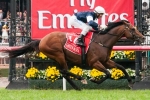 Order Of St George cements his spot at top of Melbourne Cup betting