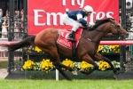 Order Of St George cements his spot at top of Melbourne Cup betting Order Of St George cements his spot at top of Melbourne Cup betting