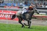 Villa Verde To Return To Racing At Caulfield On Saturday