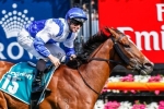 Williams talks up chances of Atmospherical in Oakleigh Plate