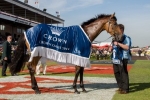 Williams chasing another G1 win with Set Square in Vinery Stud Stakes Williams chasing another G1 win with Set Square in Vinery Stud Stakes