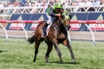 Vain Queen Far Too Strong In 2014 Mumm Stakes
