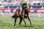 Vain Queen to bypass Black Caviar Lightning