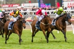 Zanbagh To Start Caulfield Cup Campaign At Moonee Valley