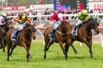 Zanbagh Joins Payne Stable Zanbagh Joins Payne Stable