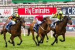 Zanbagh Ideal Caulfield Cup Horse Says Payne Zanbagh Ideal Caulfield Cup Horse Says Payne