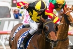 Sargent expects Kirramosa to be running on in the Missile Stakes