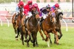 Surge Ahead To Be Ridden Forward In Rosehill Guineas Field