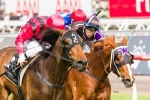 Kensington meeting to unearth Villiers Stakes candidates Kensington meeting to unearth Villiers Stakes candidates