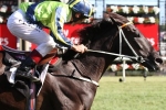 Lucia Valentina Secures Place In Hong Kong Cup Field Lucia Valentina Secures Place In Hong Kong Cup Field