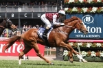 Palentino still on track for 2016 Doncaster Mile
