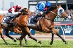 Caulfield Cup hopeful Dear Demi shines on the track