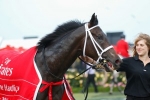 Eclair Big Bang has tricky barrier in Winterbottom Stakes Eclair Big Bang has tricky barrier in Winterbottom Stakes