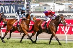 2014 Emirates Stakes Results: Hucklebuck Is The Winner
