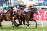 Oliver Pilots Le Roi To 2014 Queen Elizabeth Stakes Win