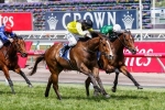 Lord Aspen To Sandown Guineas Following Fourth Straight Win Lord Aspen To Sandown Guineas Following Fourth Straight Win