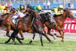 Suavito Storms Home To Win Matriarch Stakes