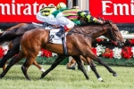 Blackiston Hopeful Suavito Can Finish In Futurity Stakes Placings