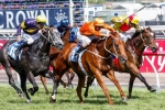 Star Sprinters In Darley Classic Nominations
