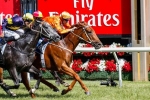 Terravista No Certainty To Contest The Shorts Terravista No Certainty To Contest The Shorts