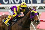 2014 Blue Diamond Stakes has capacity field