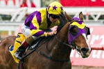 Huge offers rejected for Vinnie Eagle before Inglis Classic Huge offers rejected for Vinnie Eagle before Inglis Classic