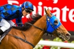Buffering to get his dash back for Doomben 10,000