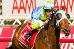 Longport to begin ambitious Autumn in Millie Fox Stakes Longport to begin ambitious Autumn in Millie Fox Stakes