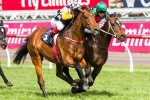 Precedence and Sertorius set for rematch in Zipping Classic Precedence and Sertorius set for rematch in Zipping Classic