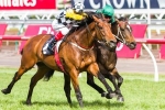 Precedence holds onto favouritism for the Zipping Classic