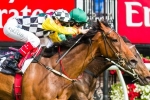 Precedence looking for fairtytale end in Sandown Cup