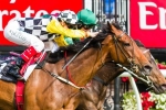 Precedence looking for fairtytale end in Sandown Cup Precedence looking for fairtytale end in Sandown Cup