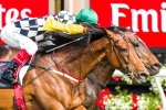 Melbourne Cup Odds firm for Precedence