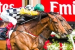 Melbourne Cup Odds firm for Precedence Melbourne Cup Odds firm for Precedence