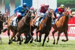 Galah In-Form Ahead Of Sandown Stakes