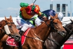Cox Plate Again the Aim for Happy Trails