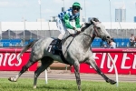 Boss gives glowing report for Puissance De Lune