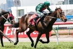 Sertorius On Group 1 Audition In Zipping Classic