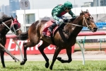 Sertorius On Group 1 Audition In Zipping Classic Sertorius On Group 1 Audition In Zipping Classic