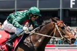 Melbourne Cup on the agenda for QE Stakes runner Sertorius