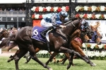 Ringerdingding sounds the warning bells to his rivals in 2019 Australian Guineas