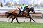 Robert Sangster Stakes now for Precious Gem