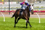 Ballarat Cup Betting Support For Electric Fusion