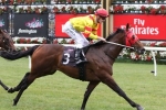 King’s Authority to Target 2017 Blue Diamond Stakes King’s Authority to Target 2017 Blue Diamond Stakes