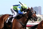 A Fit Churchill Dancer to contest the Australia Stakes A Fit Churchill Dancer to contest the Australia Stakes