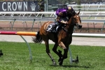 Experience Edge For Haybah In Blue Diamond Fillies Preview Experience Edge For Haybah In Blue Diamond Fillies Preview